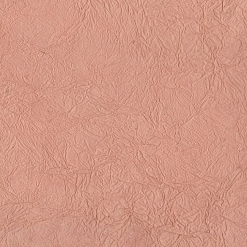 PN124S-Turtle Skin