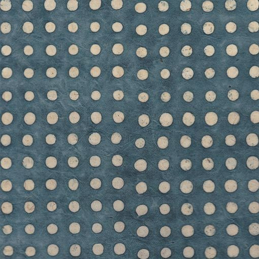 PN050-Pois