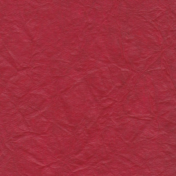 PXCV-The Translucides
