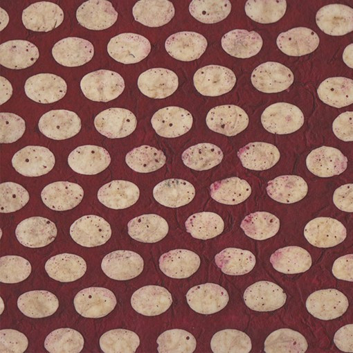 PN385-Capsule