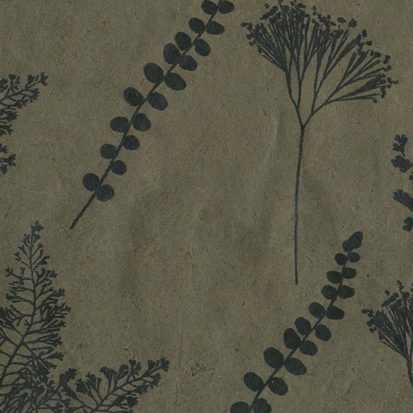 PN427-Botanic