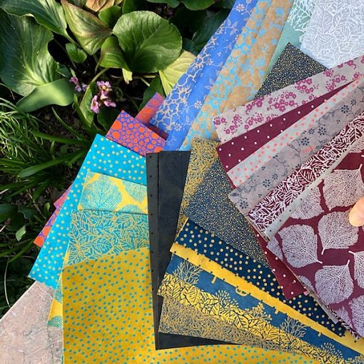 PN435-Rhizome Collections