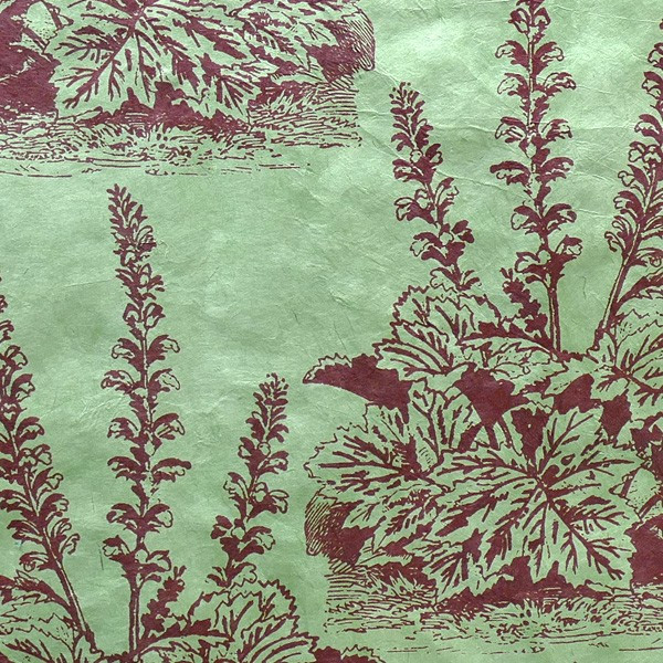 PN466-Acanthus Flowers