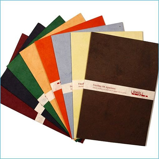 A4P - Pack of 10 sheets of Testamali Lota paper Thick - 21x29,7cm